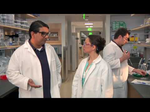 Silence your lab frustrations with BioHeroics!